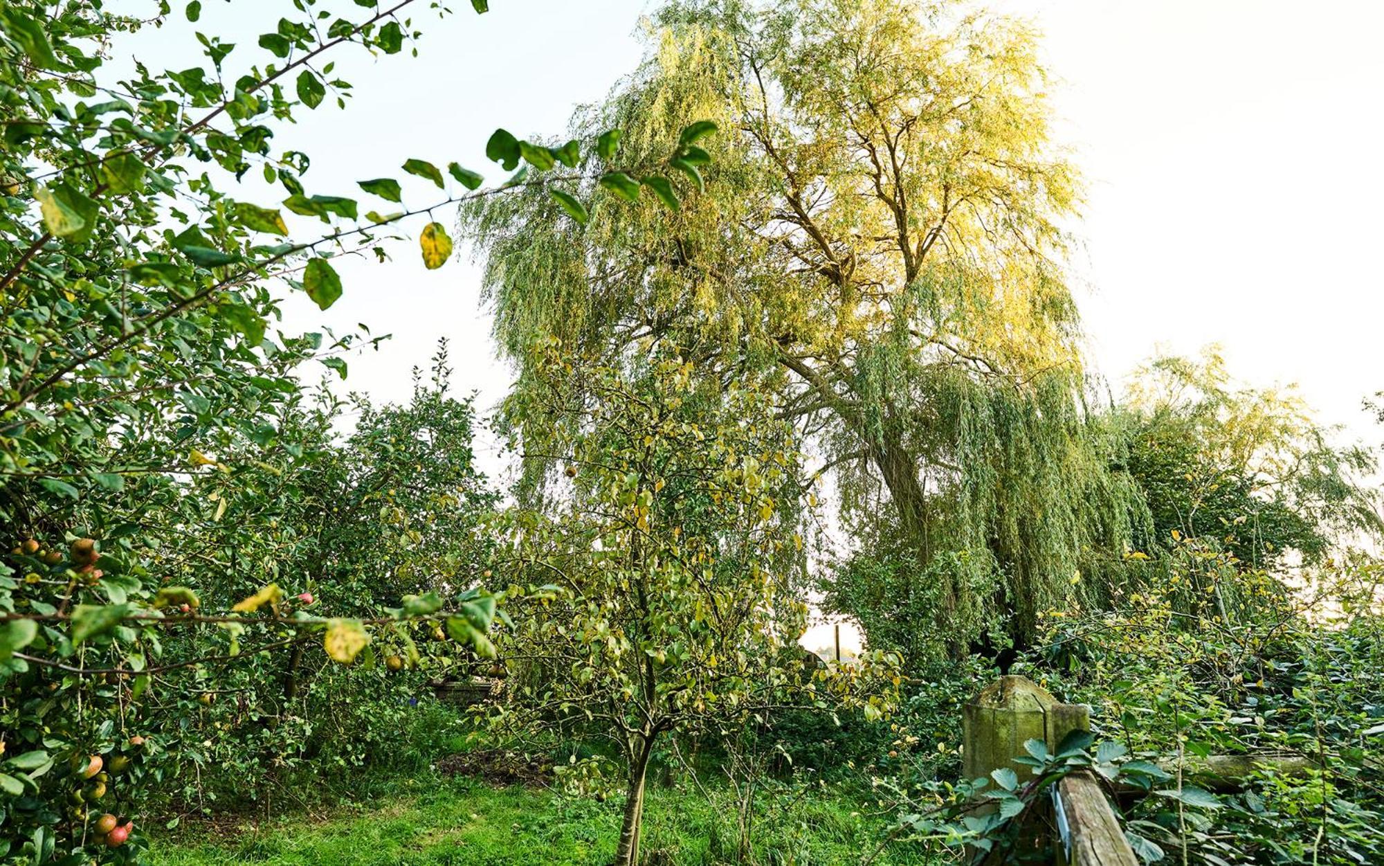 Nature Charm & Fruit Delights, Multi-Generation Celebratory Home -Try, Relax, Repeat - Sellindge Ashford  Ngoại thất bức ảnh